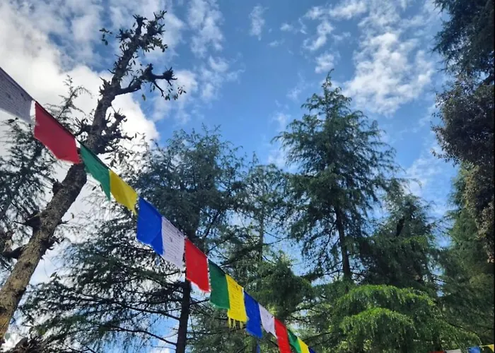 Thrillomania Mcleodganj
