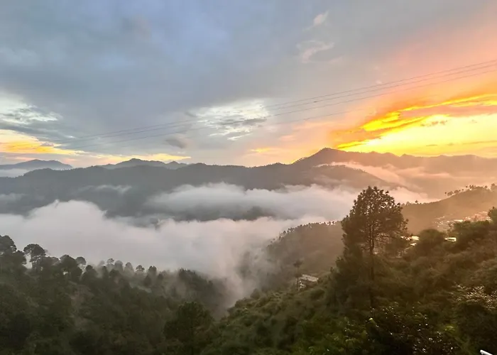 Best Nest Shimla , Pure Vegetarian