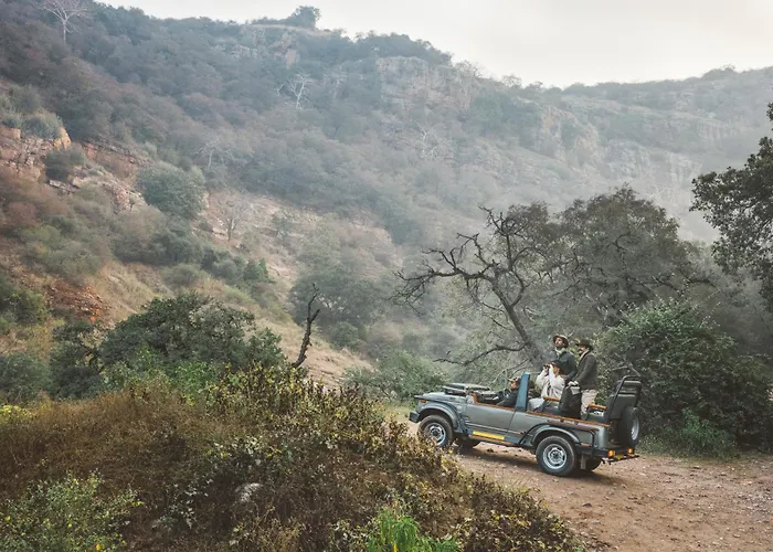 Zana Luxury Forest Resort, Ranthambore