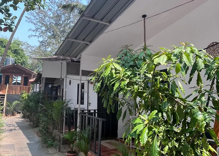 Drishti Yoga International