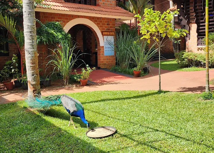 God'S Own Country Kovalam By Bestinn Leisure