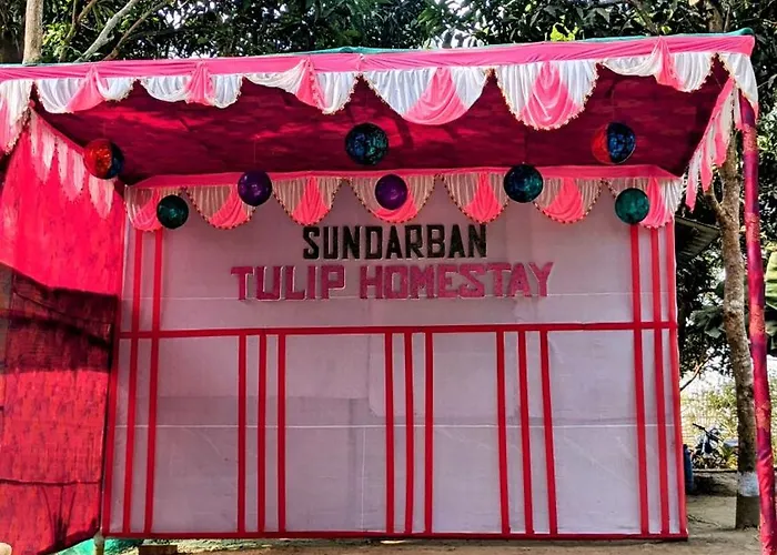 Sundarban Tulip Homestay, Pakhiralay, Wb