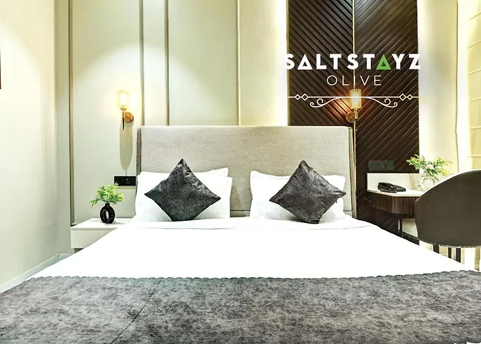 Saltstayz Premier - Pitampura