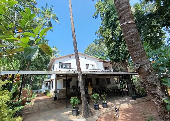 Jangala Baga Beach - French Welcome, Tropical Garden, Close To The Beach