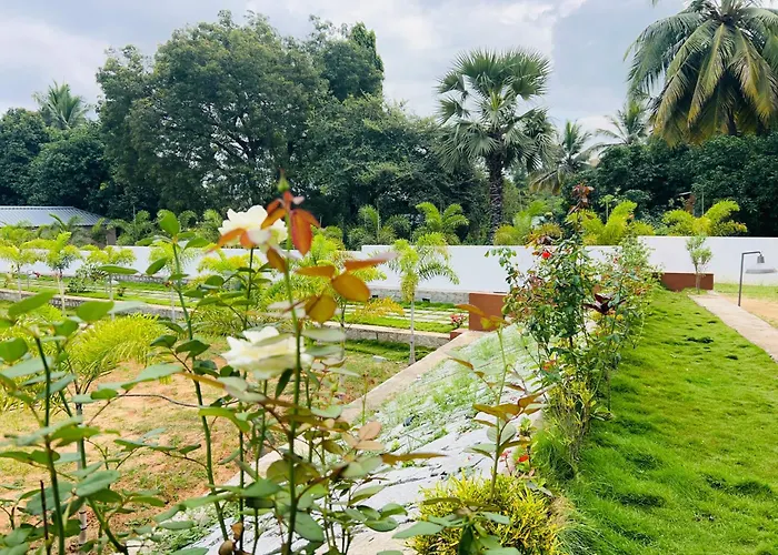 Hampi Village Jungle Resort