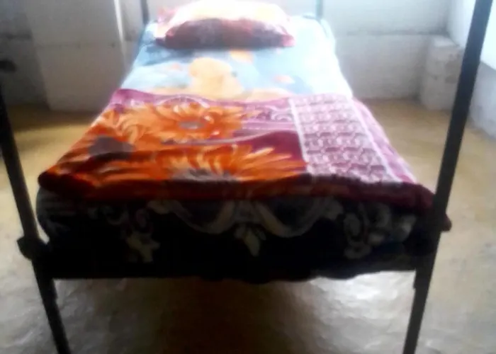Himalayan Bed & Breakfast, Triund Hill Trekking And Snowline Trekking Hostel