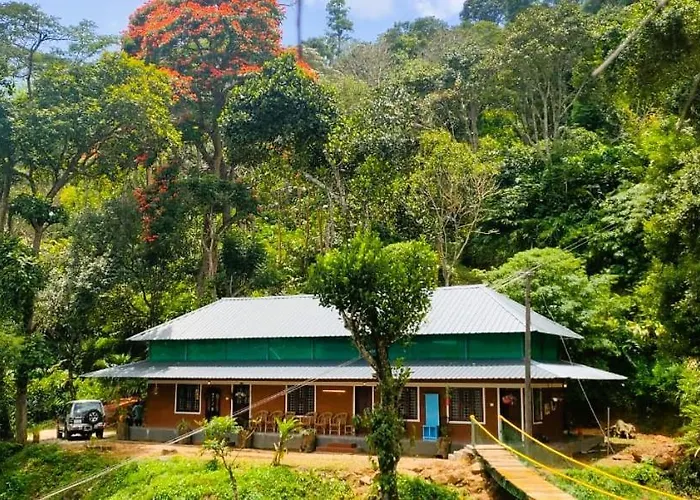 Bunk Club Hostel