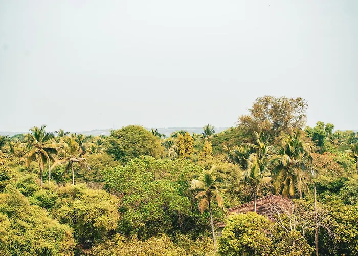 Last Minute Trip Hostel Morjim-By The Sea