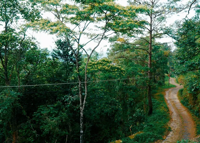 Solicom Valley Park & Resort