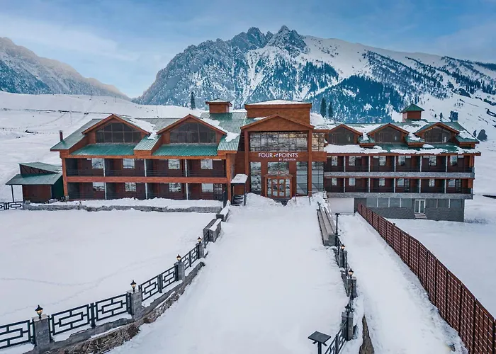 Four Points By Sheraton Sonmarg Resort
