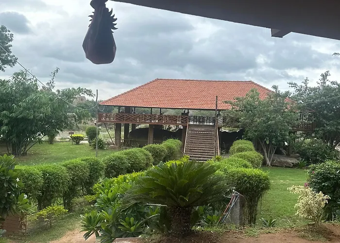 Leo wooden resorts
