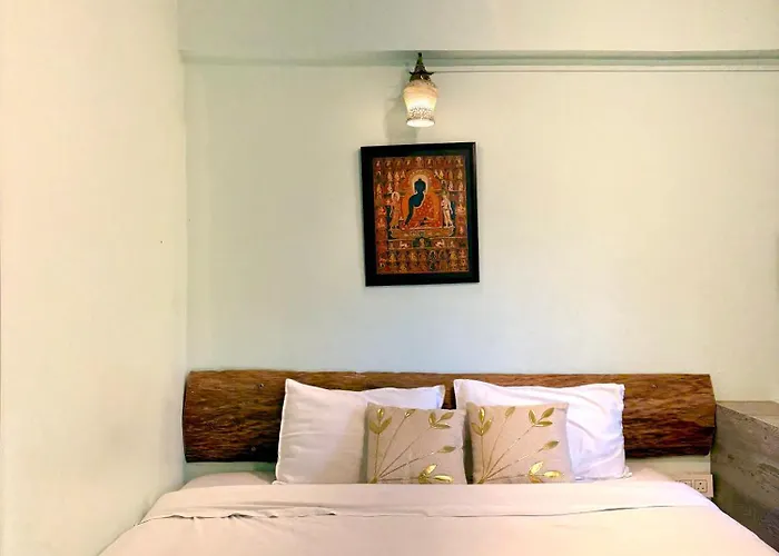 Eevolve Dharamkot - An Eco Hostel