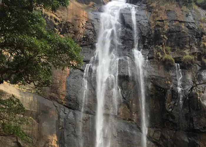 Coastal Grand Mahendravanam - Kolli Hills