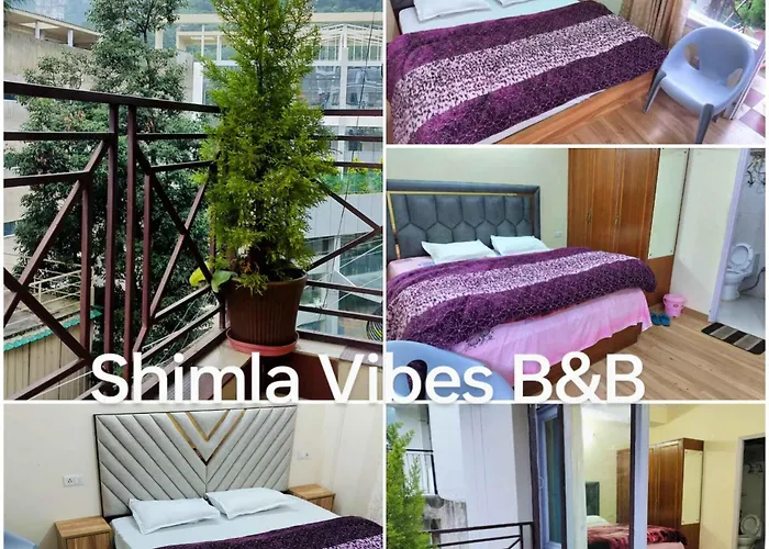 Shimla Vibes B & B Free Pick And Drop From Isbt Shimla