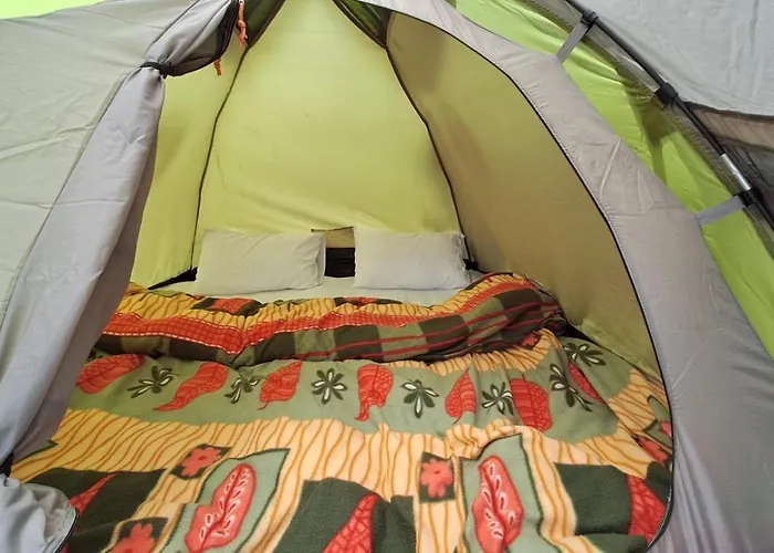 Delicate Campsite