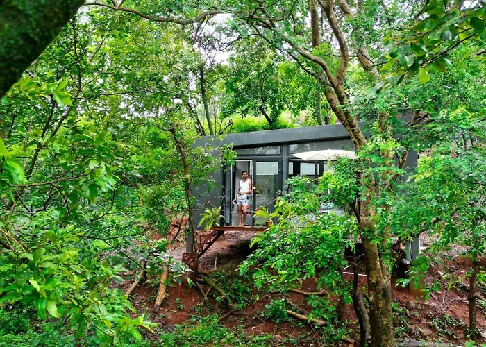 Wind Over Waters Cabin 2