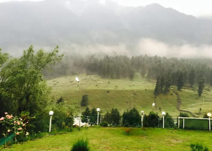 The Pinus Resort