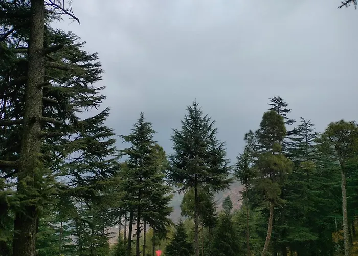 The Alpine Vista
