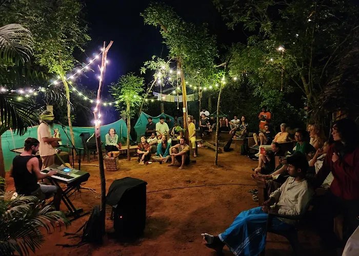 Nebula Nest Cafe & Hostel