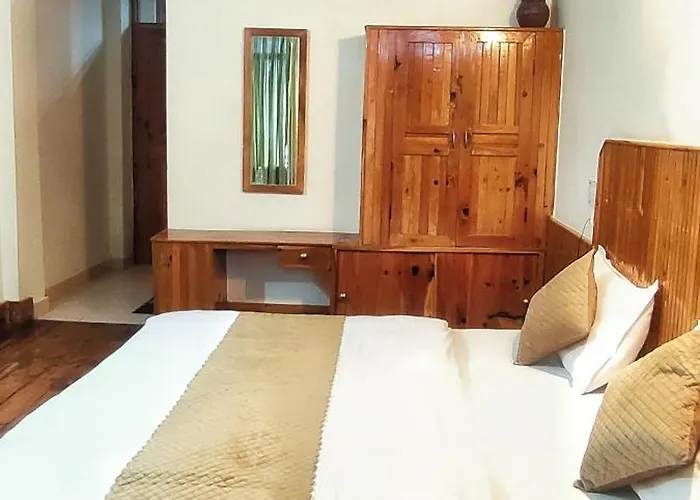 Soham'S Chateau De Naggar - Manali