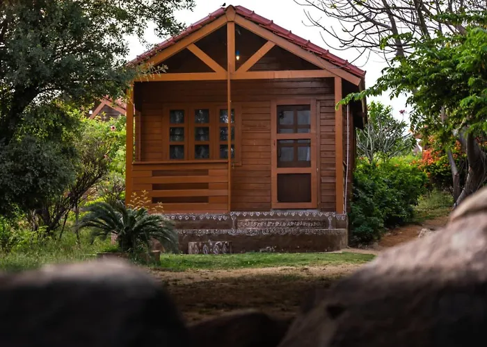 Leo wooden resorts