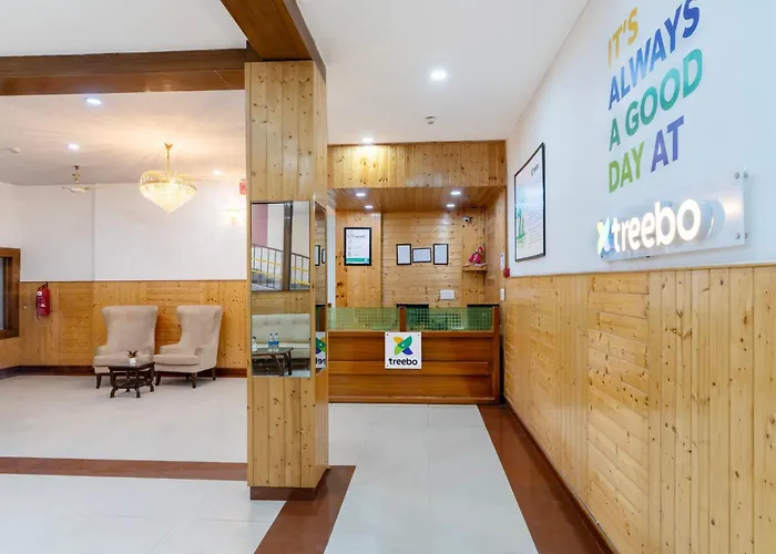 Treebo Anand The Mall Solan