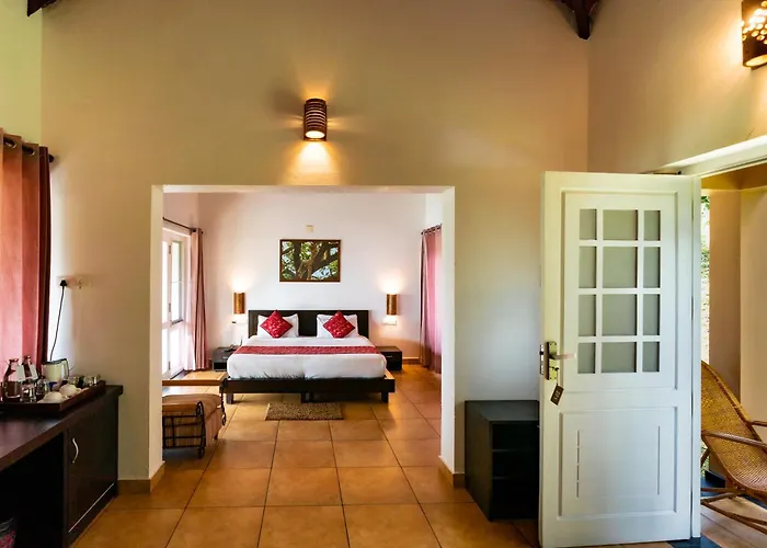 After The Rains - Rainforest Lodge, Wayanad
