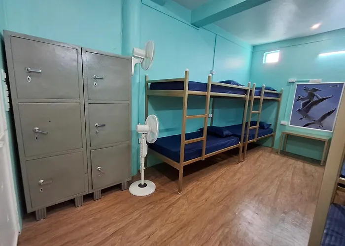 Backpackers Homestay In The Valley