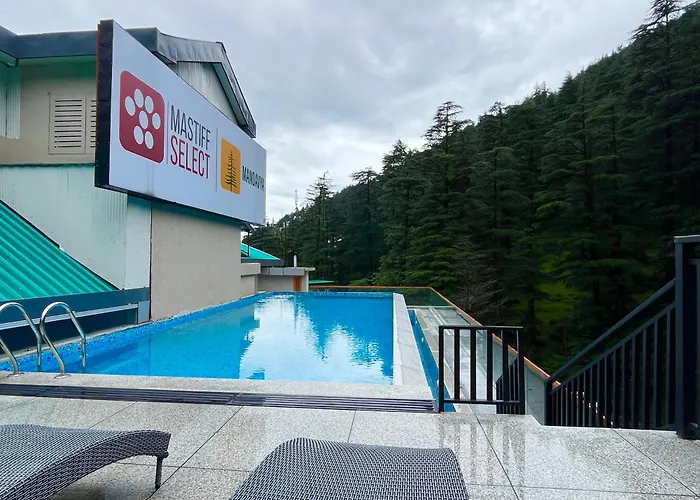 Mastiff Select Mandavya Dharamkot, Mcleodganj