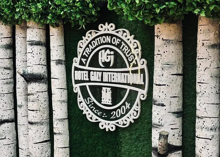 Hotel Galy International