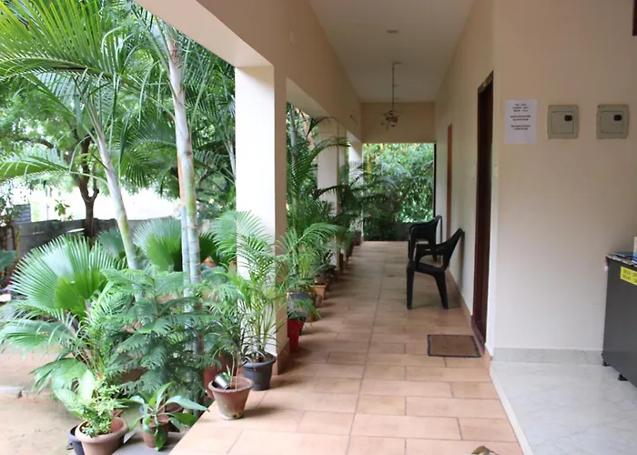 Pv Resort - Auro Beach