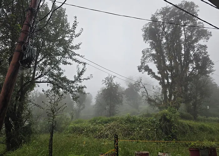 Tranquil Trails Home Stay Naddi
