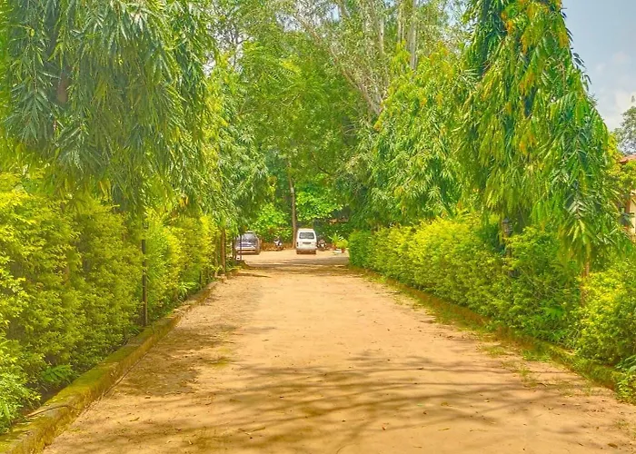 Roopam Resort Ranakpur