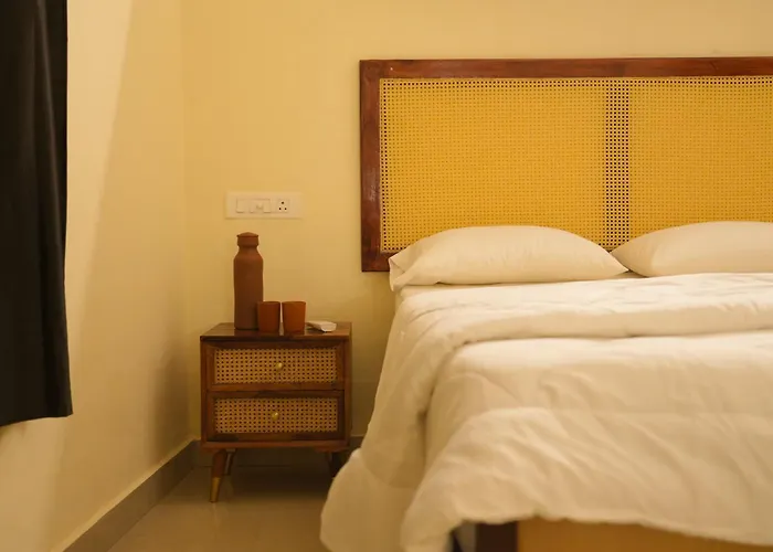 Kaya