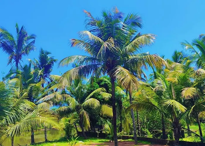 Boutique Wellness & Yoga Hotel Goa