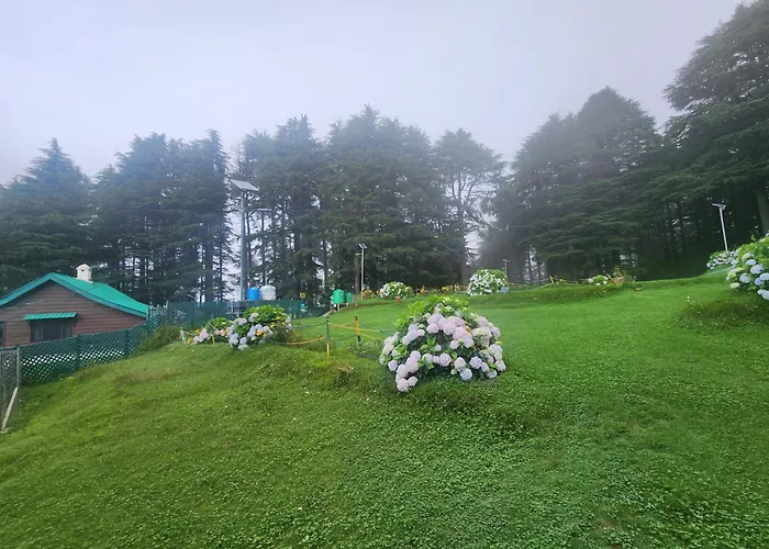 Forest Vibes Kalatop-Rooms And Restaurant