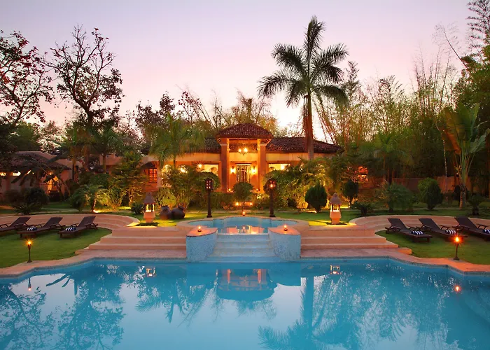 Tuli Tiger Resort