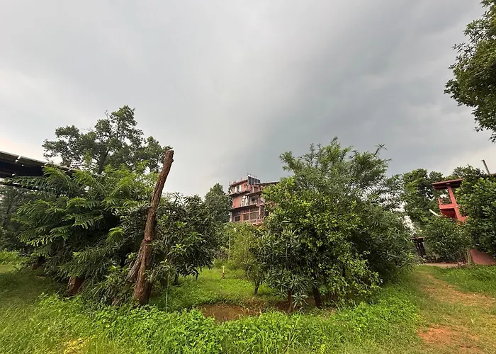 Emerald Tiger Retreat