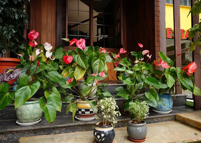 Treebo Orchard Virajpet Malabar Road Coorg