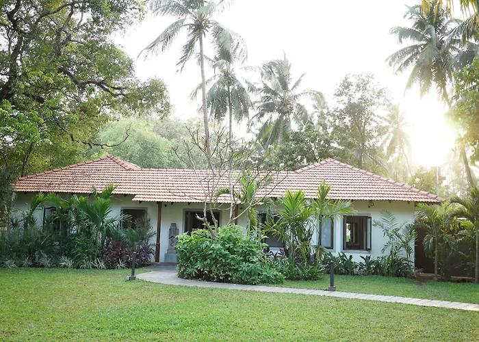 Andores Resort And Spa - Calangute