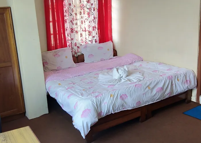 Hotel Panda International Gangtok