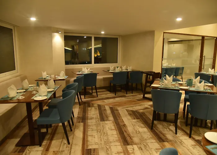 Effotel By Sayaji Vadodara