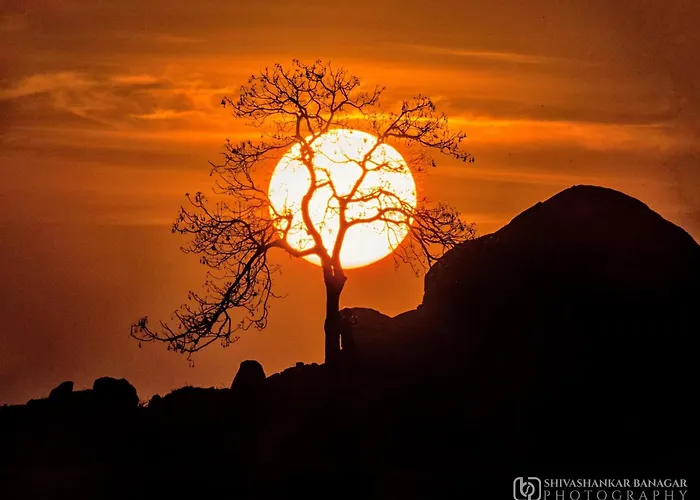 Dream Hampi Villa & Home Stay