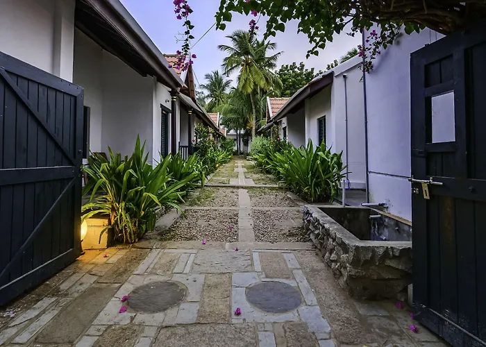 Neemrana'S Coconut Alley