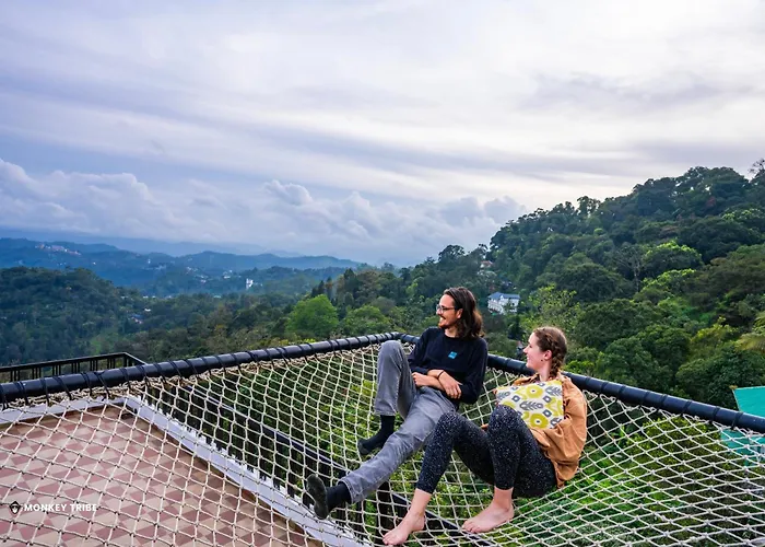 Monkey Tribe Munnar