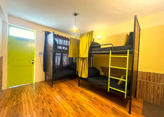 Trippy Turtle Hostel