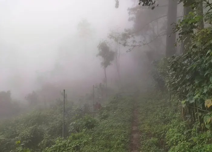 Bhramaram Resort