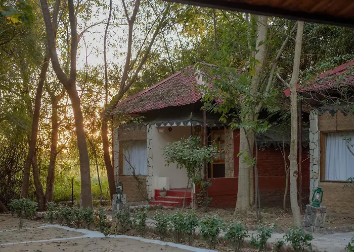 Greetoe Camp Panna