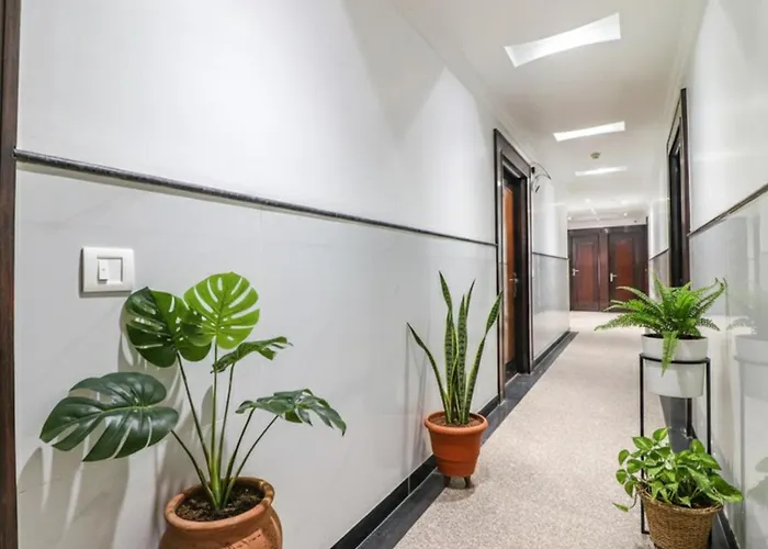 Fabhotel Rayplus