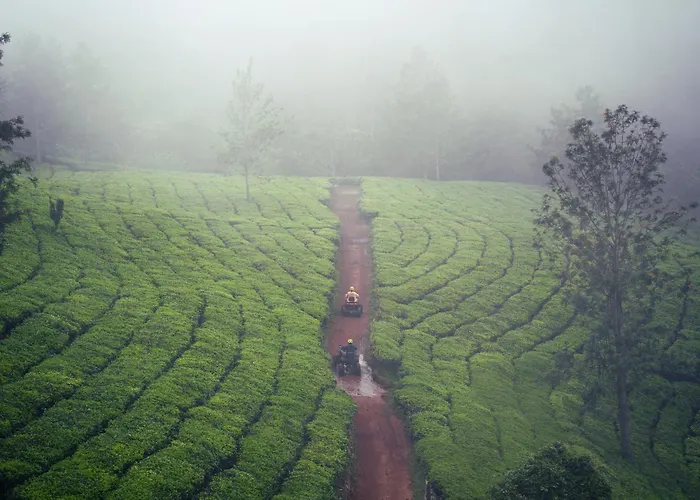 Hostyard Plantation Hostel Near Munnar